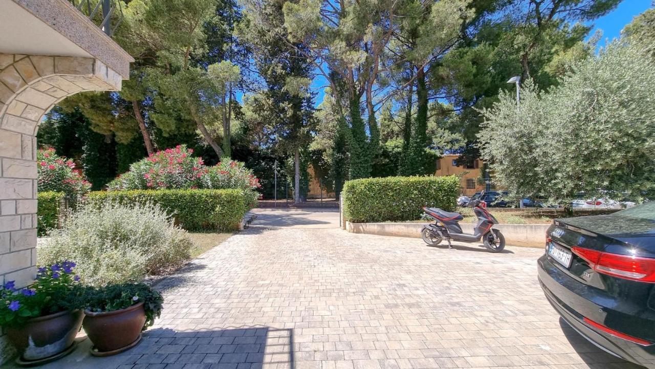 Ena Appartement Novigrad Istria Buitenkant foto